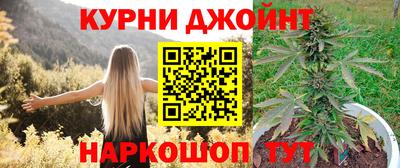 прущие грибы Можайск