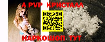 прущие грибы Можайск
