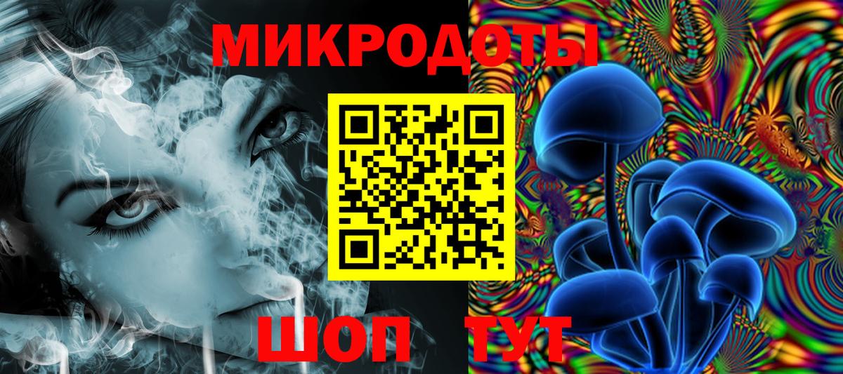 Псилоцибиновые грибы мицелий Гусев